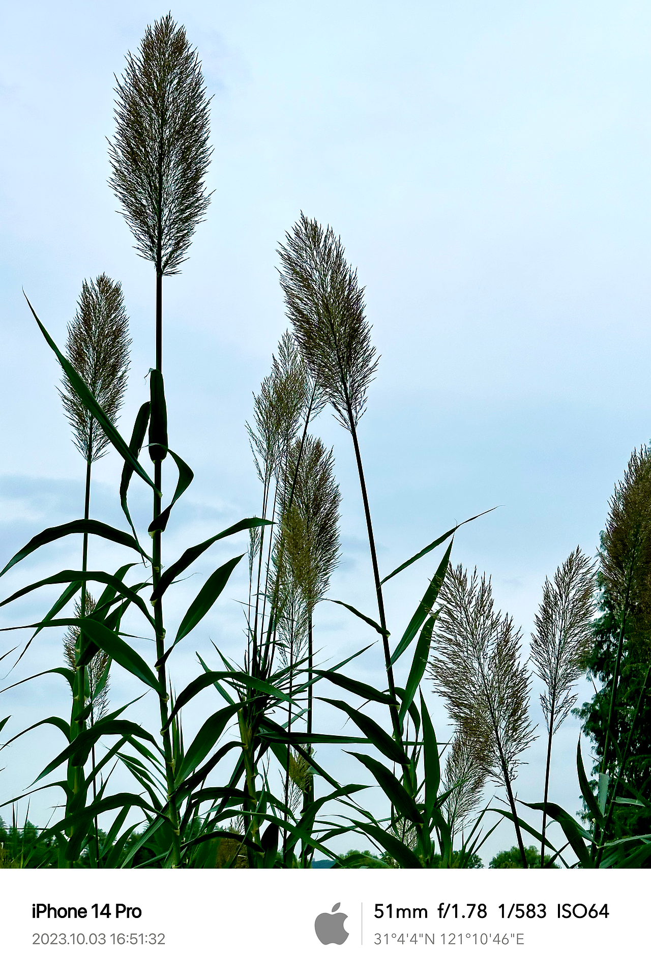 City walk隨拍~（圖ZMzUyNzYzMTIw） - 人文/紀(jì)實攝影 - 站酷設(shè)計師三個DOU原創(chuàng)素材 - 站酷ZCOOL