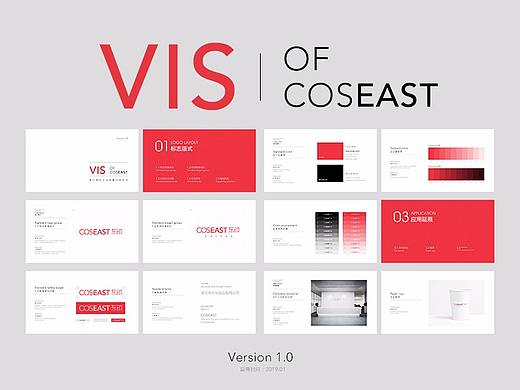 2019 New VIS Of COSEAST(Basic)