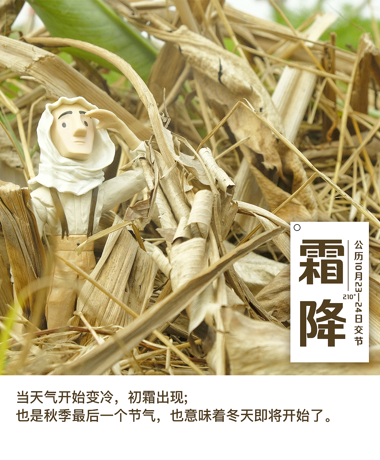 时节海报（图ZMjIyMDYxNjM2） - 海报 - 站酷设计师dilialan123原创素材 - 站酷ZCOOL