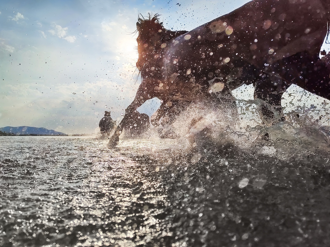 手机摄影 - 内蒙青海