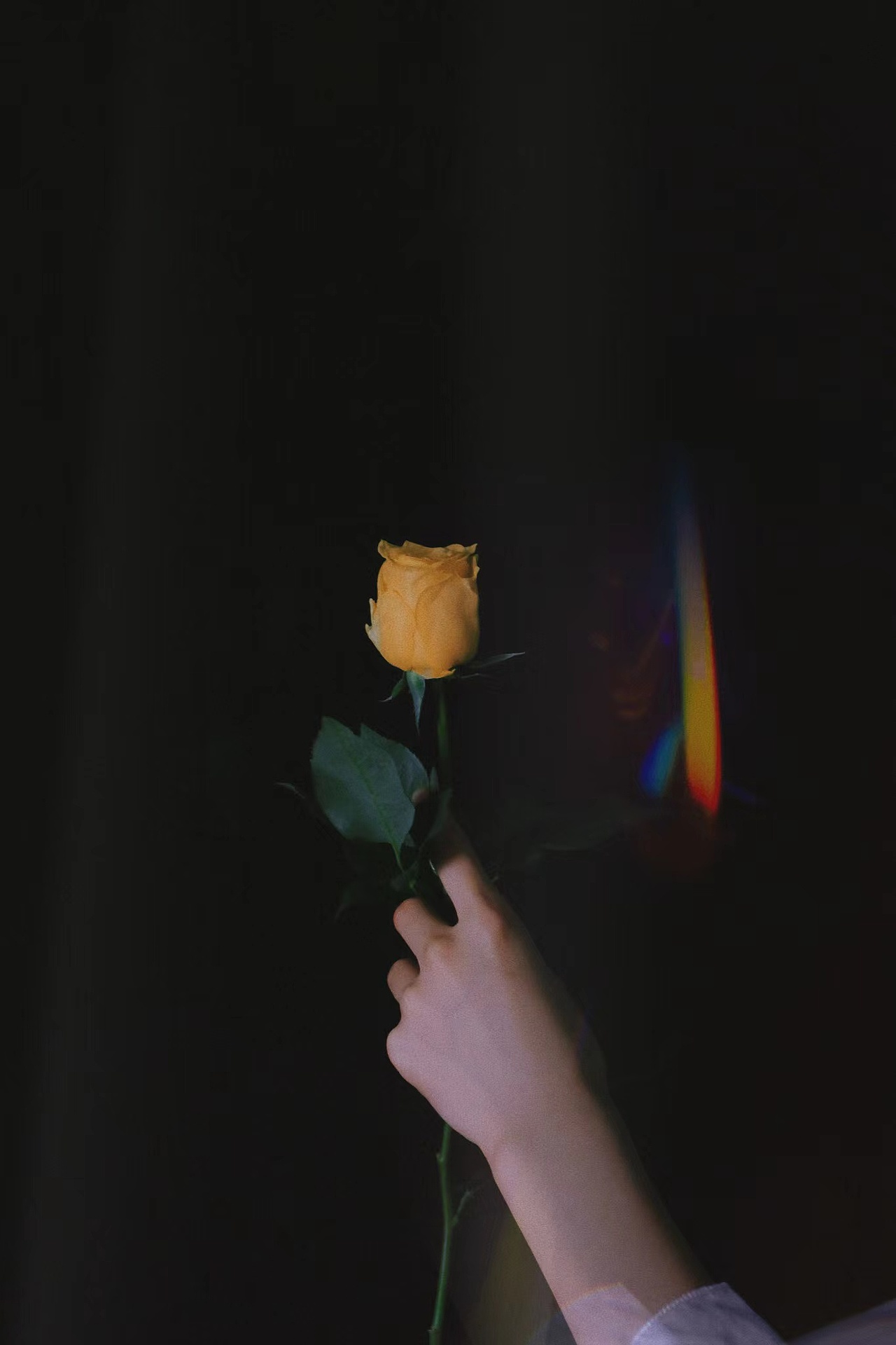 少女与花，浪漫至极。（图ZMzExMzczMDMy） - 人像摄影 - 站酷设计师金渺今原创素材 - 站酷ZCOOL