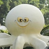 面包虾的头像