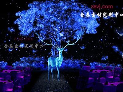时尚、潮流、成功——全息宴会厅