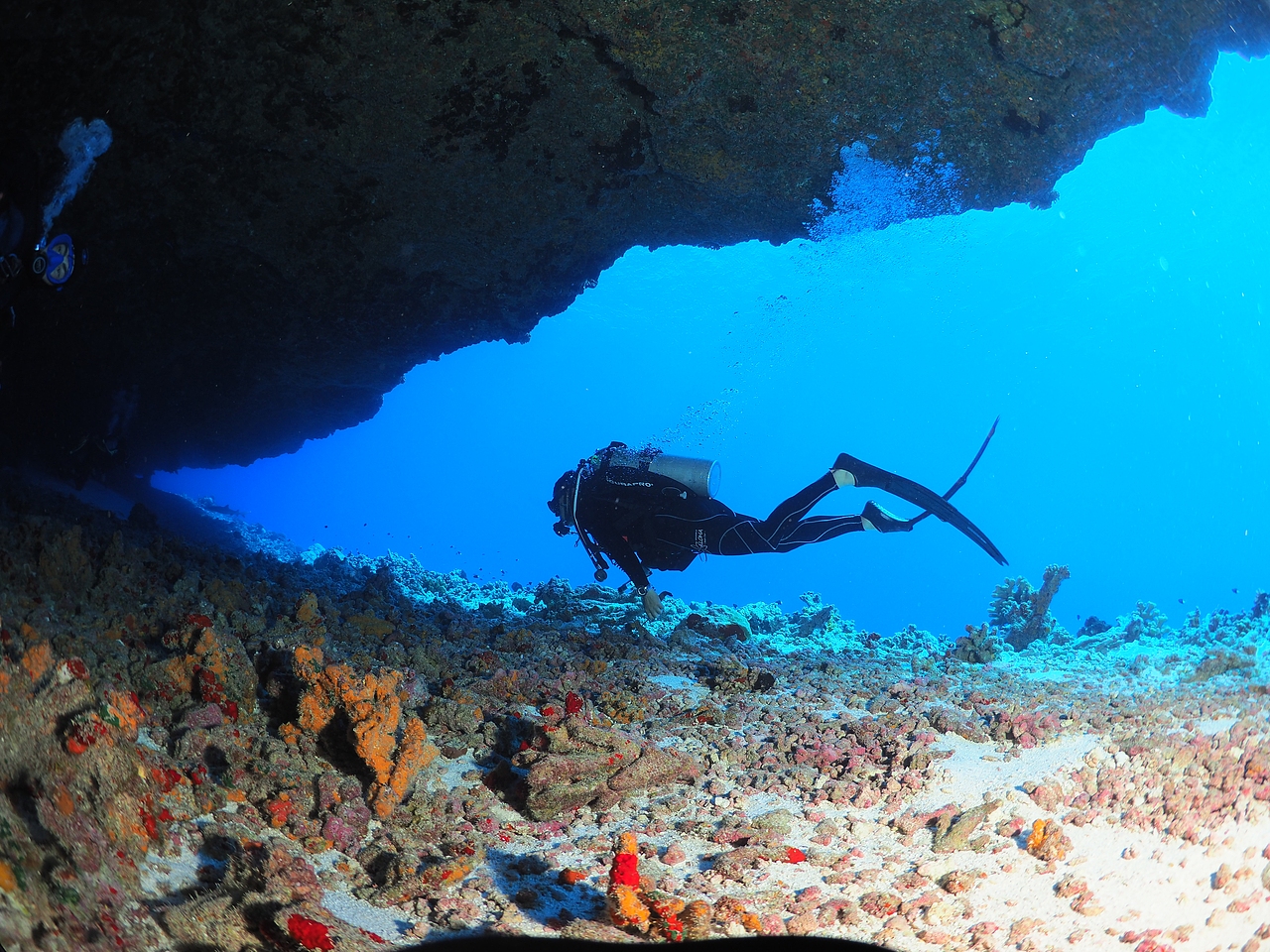 海洋世界大溪地