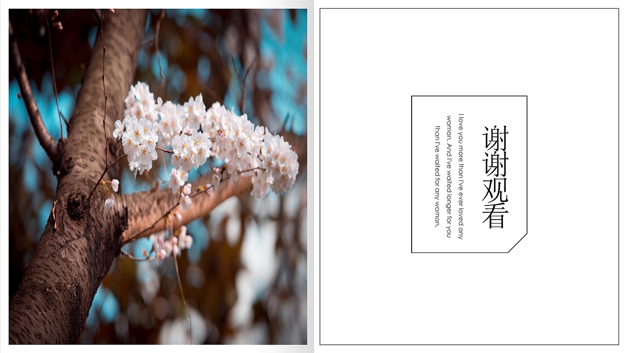 简约旅游旅行观光出行相册纪念PPT模板