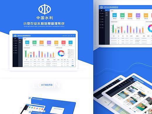 中国水利-小型农业水利信息管理系统