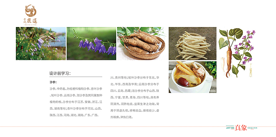 雪域鹿遥— —沙参酒包装（图ZMTgzODQ0MjYw） - 包装 - 站酷设计师真象设计原创素材 - 站酷ZCOOL