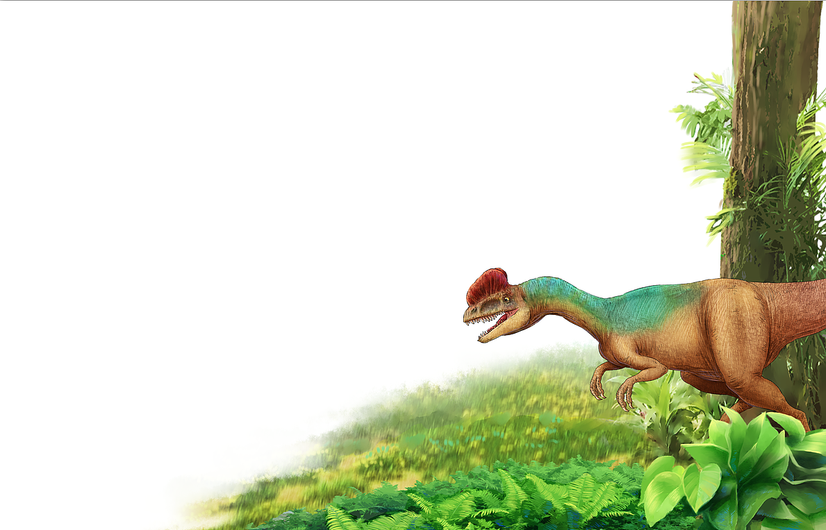 恐龙商插 禄丰龙