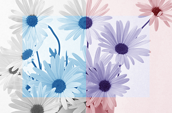 个人作品练习集锦