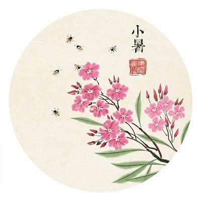 二十四节气花卉系列插画