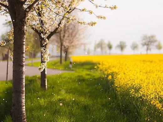 香皂（個人主頁-ZMzUzNzA0MzI=） - 其他 - 站酷設(shè)計師藍鯨ly原創(chuàng)素材 - 站酷ZCOOL