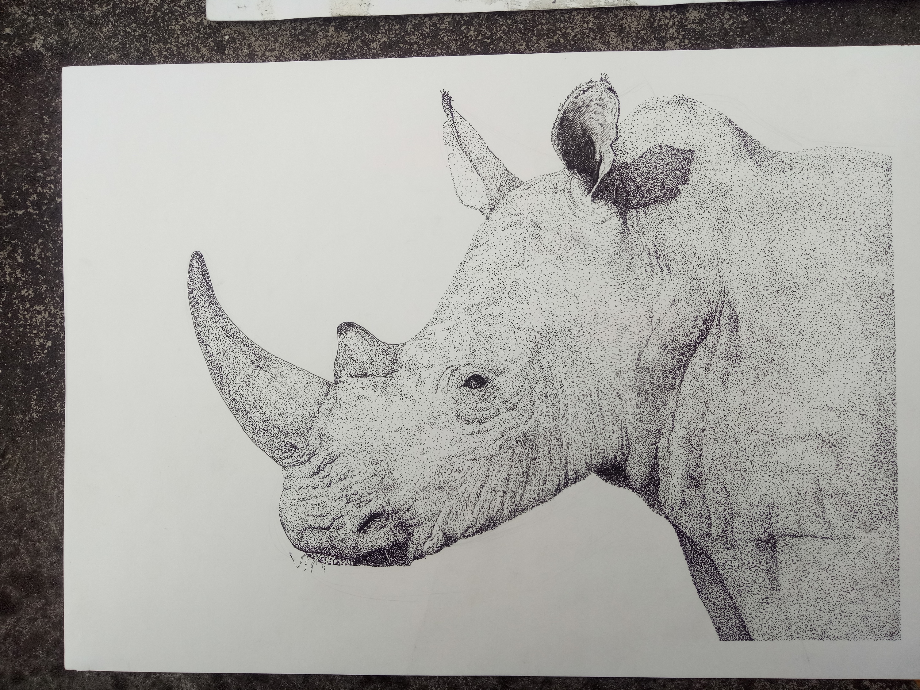 暑假在家无聊用水性笔点的画