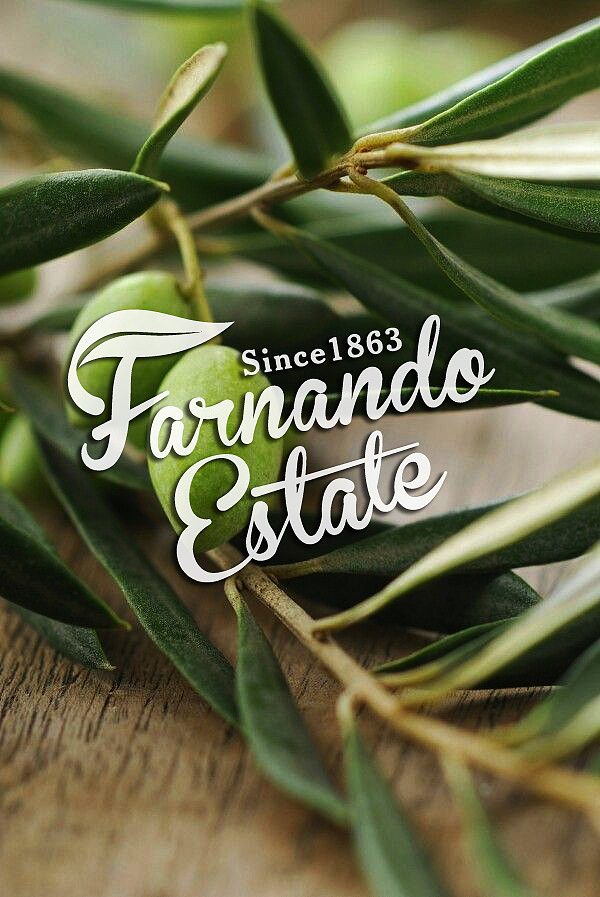 橄榄油包装（图ZNDMxMTc2MTY=） - 包装 - 站酷设计师朱茶叶原创素材 - 站酷ZCOOL