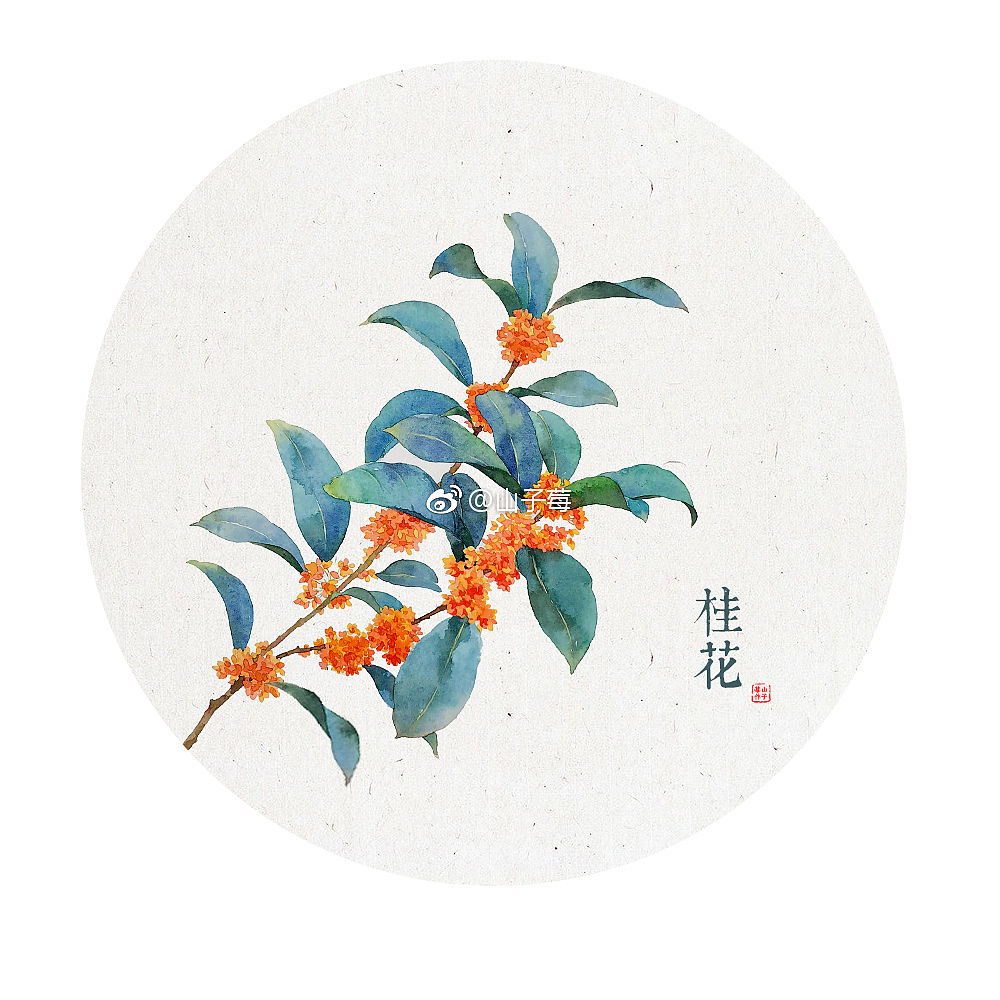 水彩花卉 手绘（图ZMTQ3NDUzNzgw） - 绘画 - 站酷设计师山子莓原创素材 - 站酷ZCOOL