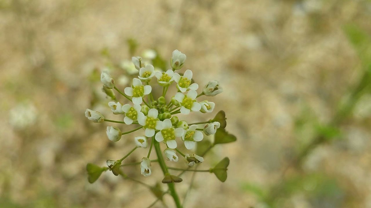 努力发现生活中的美