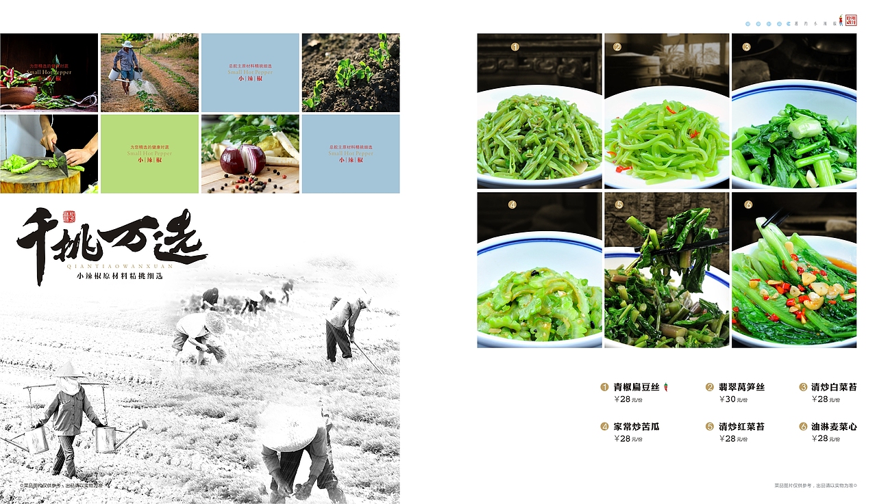 小辣椒大厨房画册设计（图ZMTQ5NDA4NTAw） - 书籍/画册 - 站酷设计师尘烨原创素材 - 站酷ZCOOL