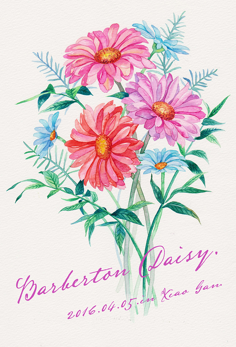 三木花草~婚礼桌签集合（图ZNDY1MzU2NTY=） - 商业插画 - 站酷设计师吴都Jasmine原创素材 - 站酷ZCOOL