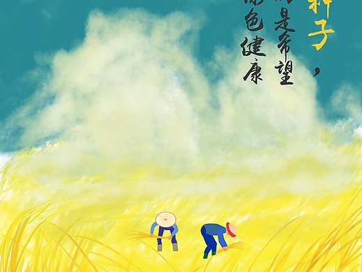 种子