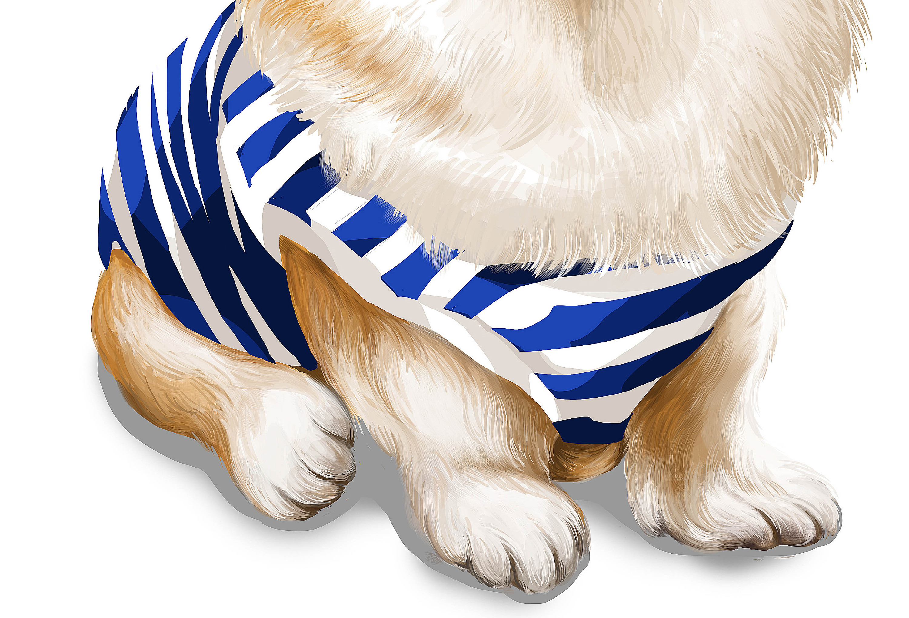 a · 萌宠绘]柯基-欧拉|插画|商业插画|amyaaa - 原创作品 - 站酷