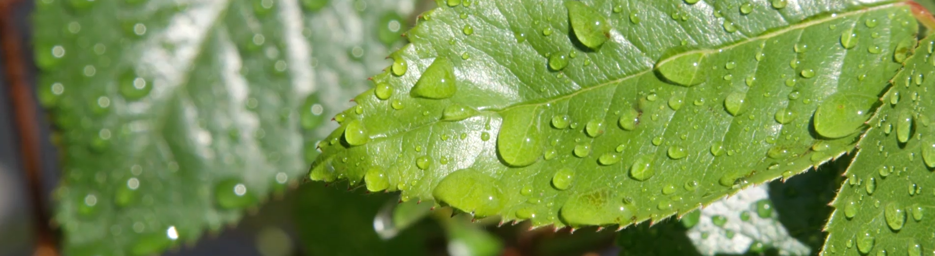 西達夫的個人主頁（封面預覽） - 主頁封面設置 - 站酷設計師西達夫原創(chuàng)素材 - 站酷ZCOOL