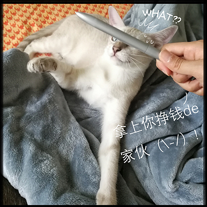 本是小仙女的小白菜（图ZODU3OTA4OTY=） - 新锐潮流插画 - 站酷设计师本宅喵原创素材 - 站酷ZCOOL