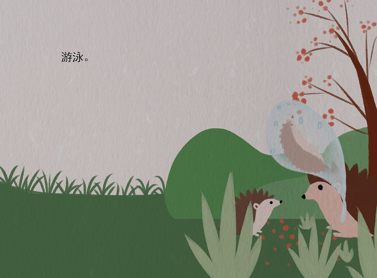 儿童插画绘本《我从哪里来》