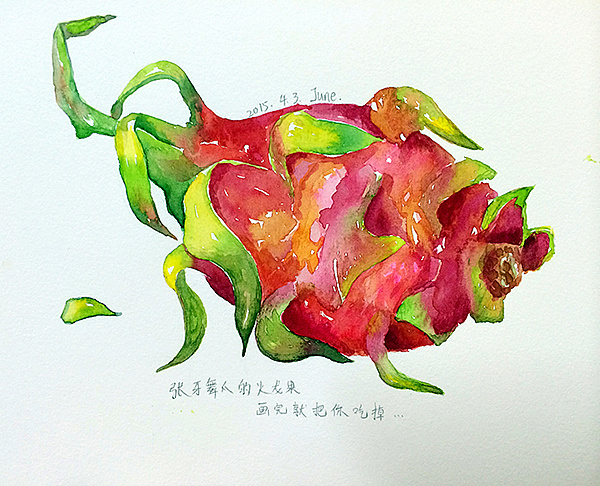 原创作品:手绘水彩系列1—火龙果