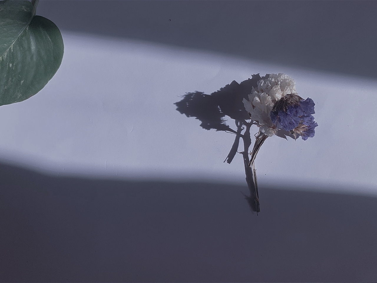 今天是干净 静谧 沉郁 明亮 透彻的