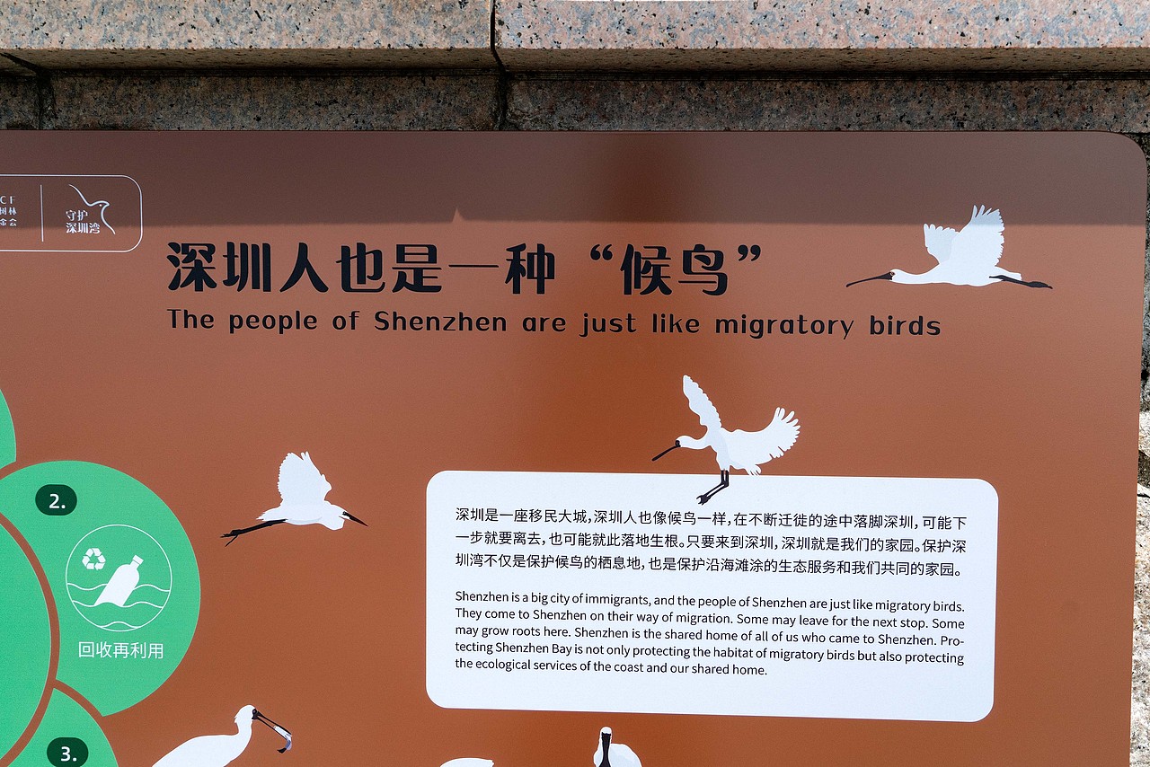 深圳湾公园湿地主题解说牌（图ZMjk1MDM5MjA0） - 图案 - 站酷设计师tofu豆腐原创素材 - 站酷ZCOOL
