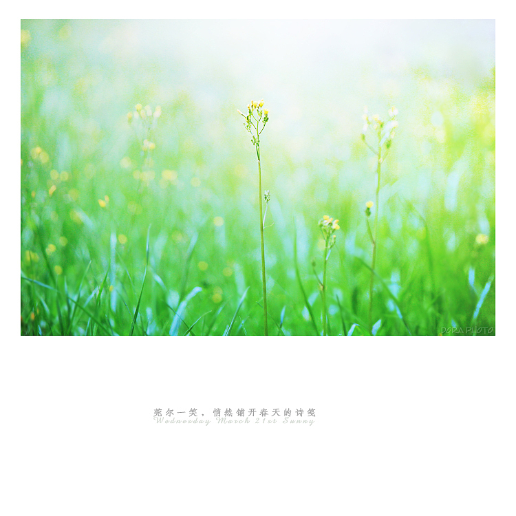春的诗笺（图ZNzEyNTA1NTY=） - 风光摄影 - 站酷设计师朵拉影像原创素材 - 站酷ZCOOL
