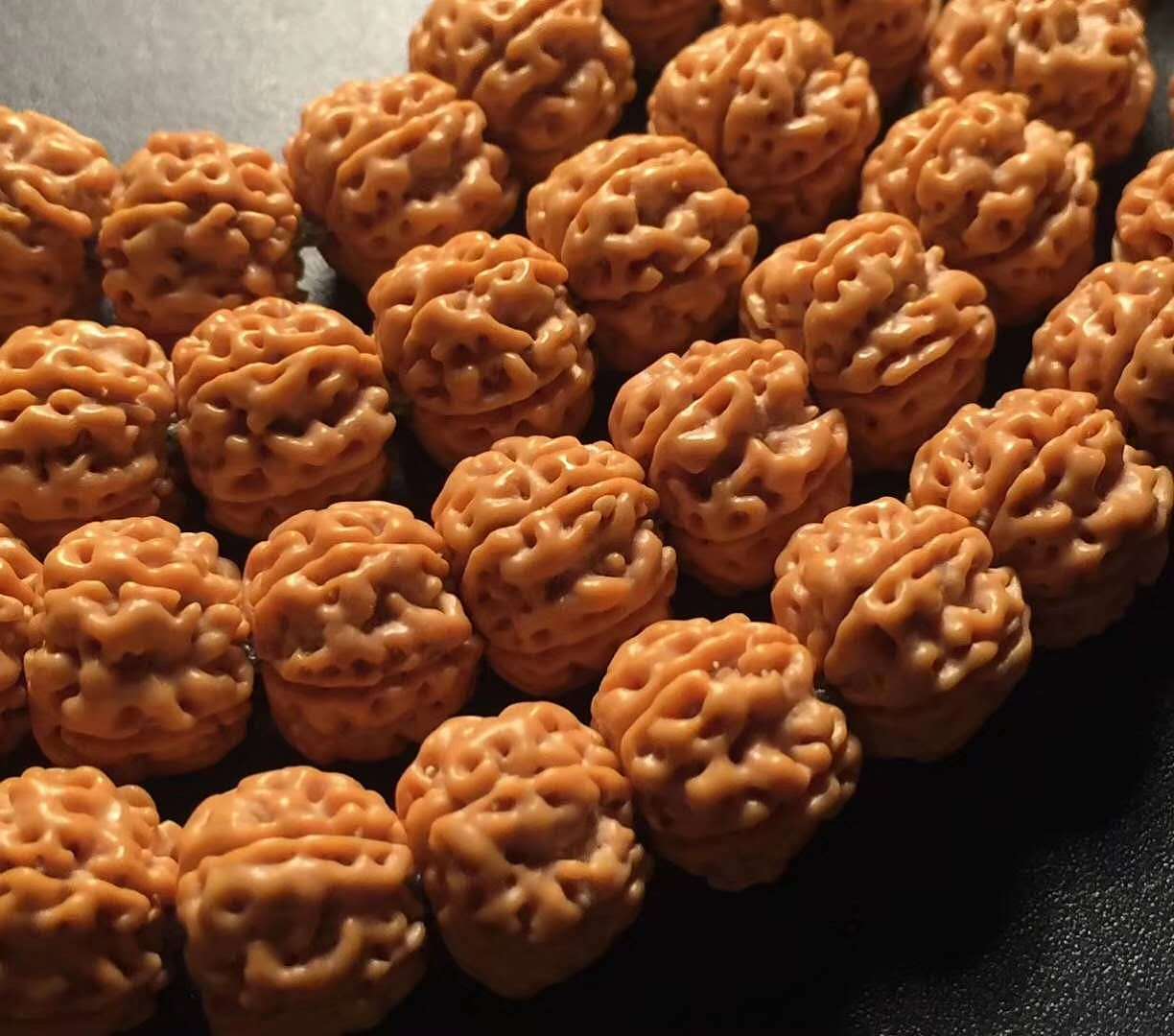 极品五瓣1.0平头平尾爆肉双龙小金刚 -----龙掌柜文玩