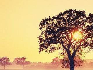 海報(bào)（個(gè)人主頁-ZMzAyNzczNzY=） - 海報(bào) - 站酷設(shè)計(jì)師紫色流蘇原創(chuàng)素材 - 站酷ZCOOL