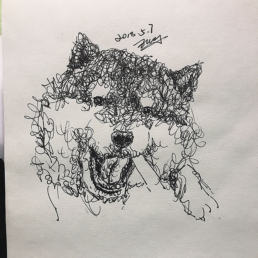 钢丝球画法萌萌的柴犬们1