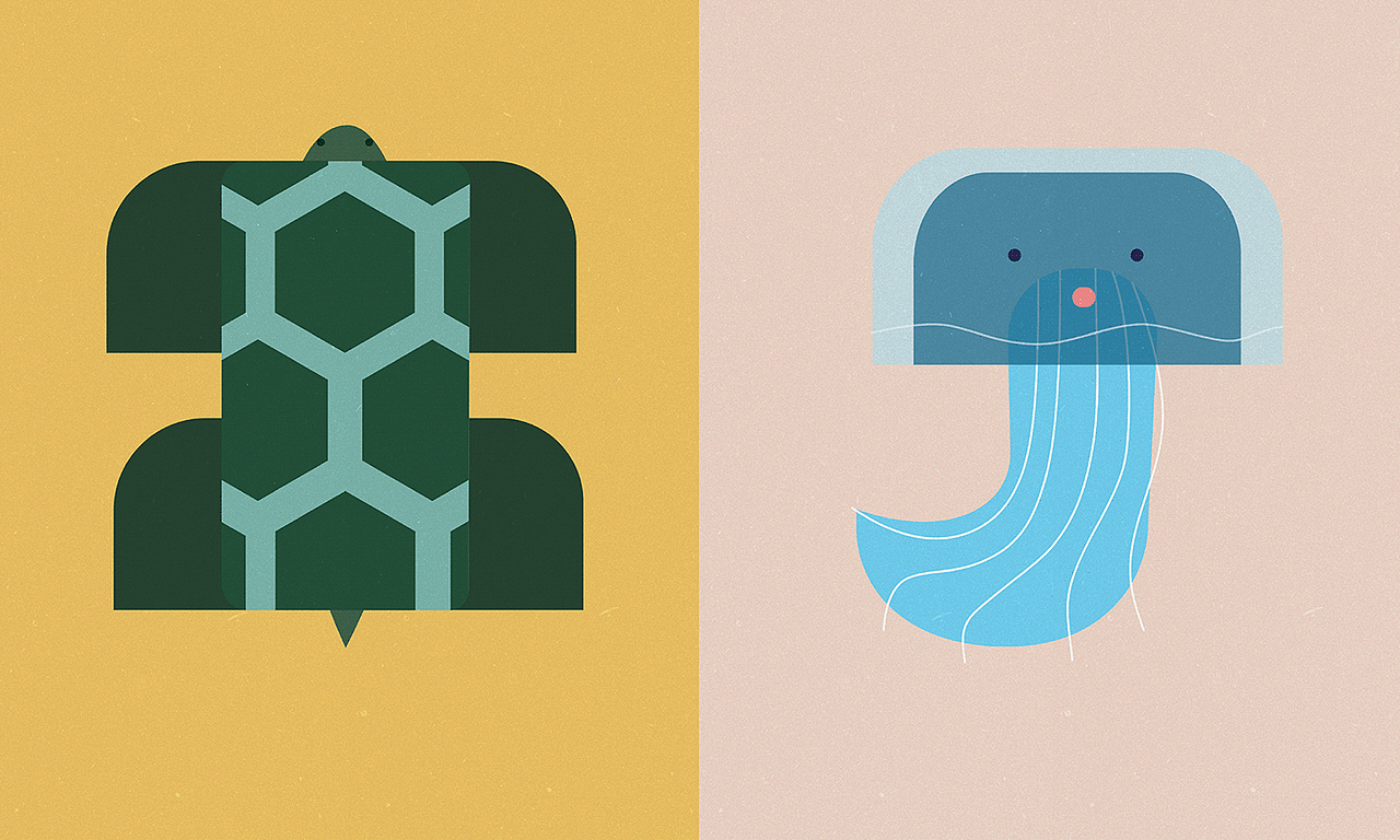 儿童认知卡-字母设计