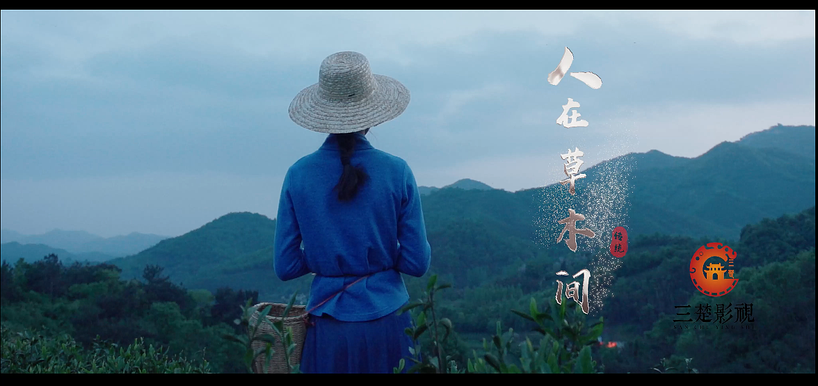 信阳毛尖超燃纪录片-人在草木间片段1-三楚影视