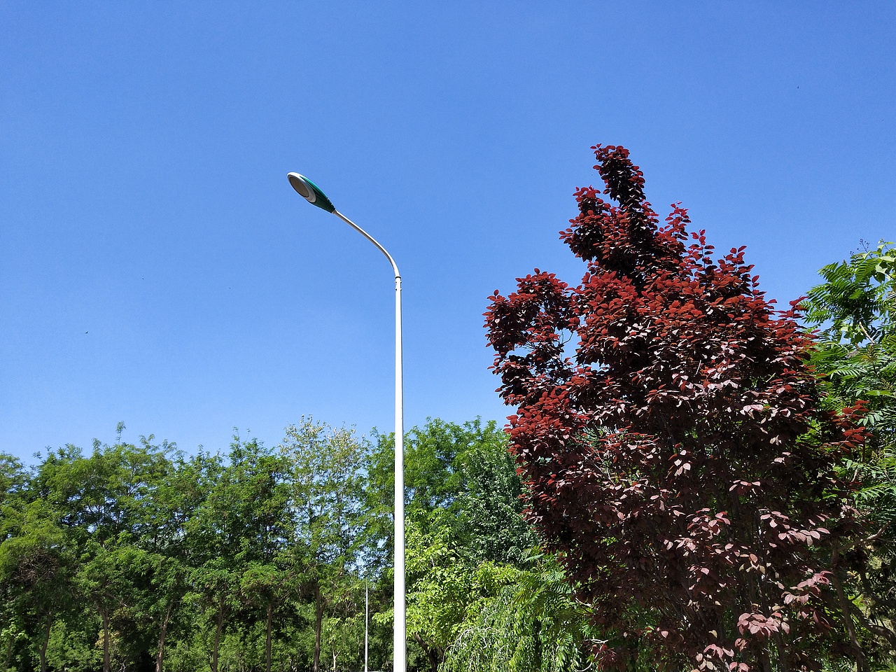 偷得浮沉半日闲