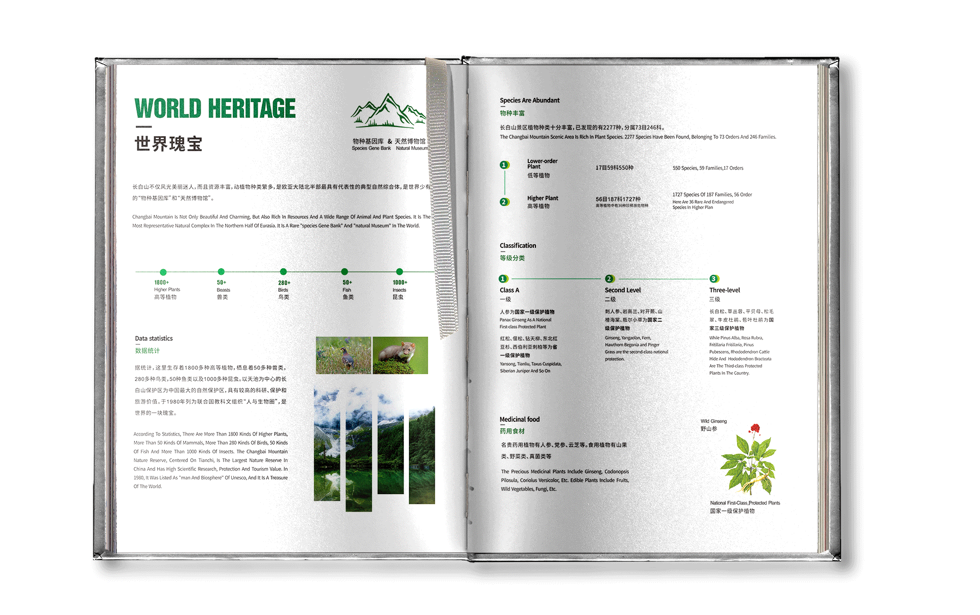养生草药手册 I 精装纪念版