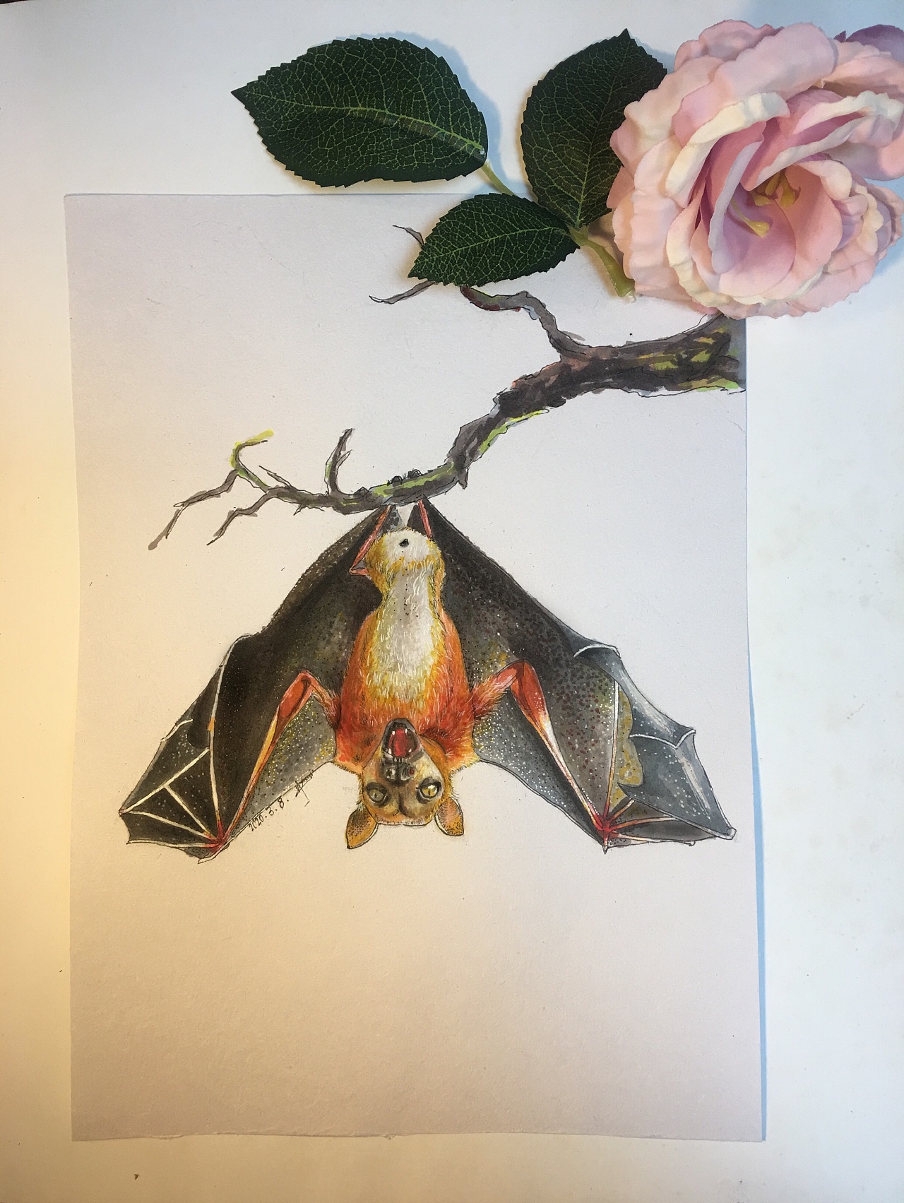 蝙蝠|纯艺术|绘画|雪柜同学 - 原创作品 - 站酷 (zcool)