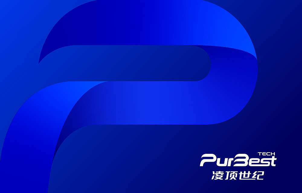 凌顶世纪(PurBest)科技品牌设计