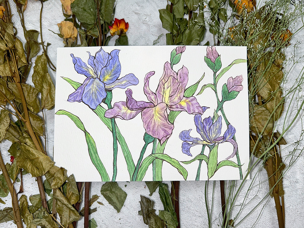 画渣日常🎨一副鸢尾花（图ZMzI3MTY5NzY4） - 绘画 - 站酷设计师璐梦游原创素材 - 站酷ZCOOL