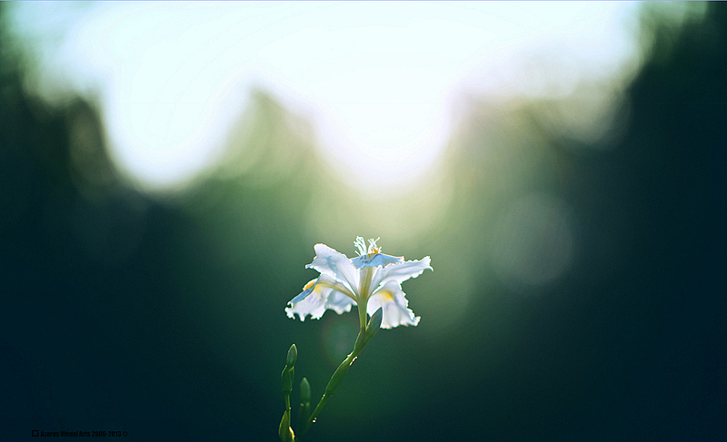 一个人像摄影师2013年的12张风景（图ZMTMzMzUxNjg=） - 风光摄影 - 站酷设计师海螺壳原创素材 - 站酷ZCOOL