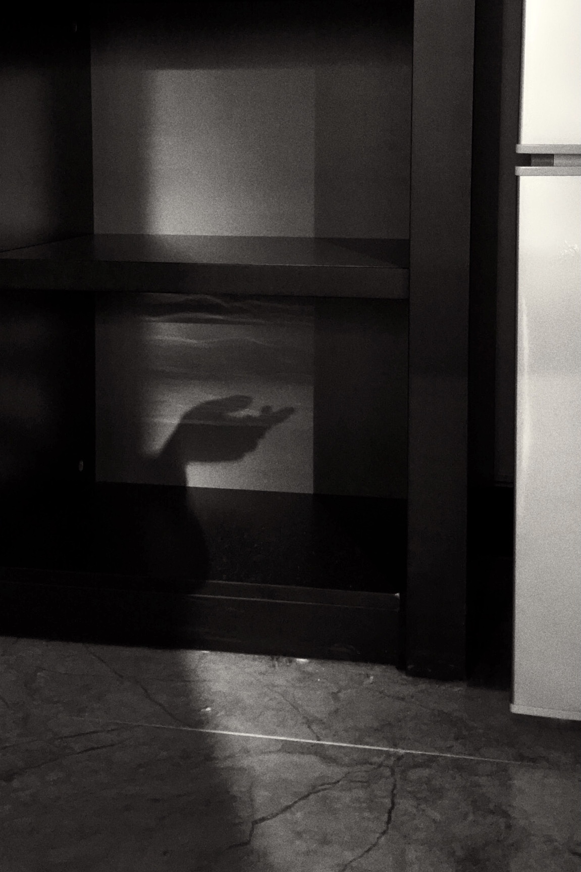 手機(jī)攝影|抽離了紛繁色彩，一瞬即是永恒（圖ZMjQyMDg4OTYw） - 人文/紀(jì)實(shí)攝影 - 站酷設(shè)計(jì)師Z自由女神原創(chuàng)素材 - 站酷ZCOOL