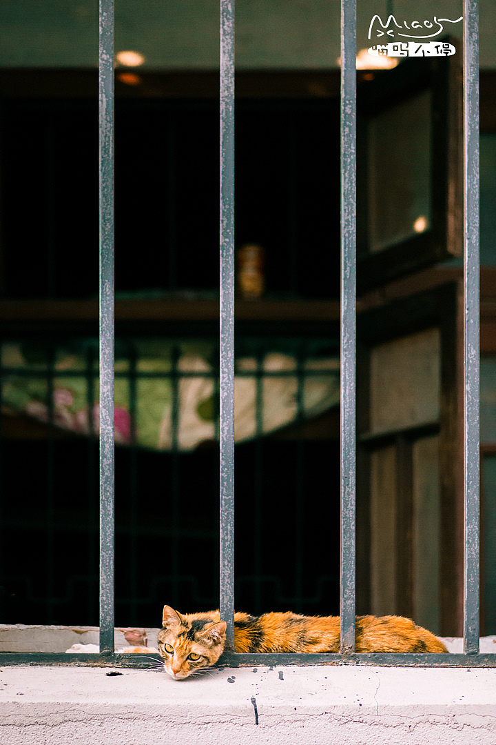 竟敢扰醒本王,还不快滚!