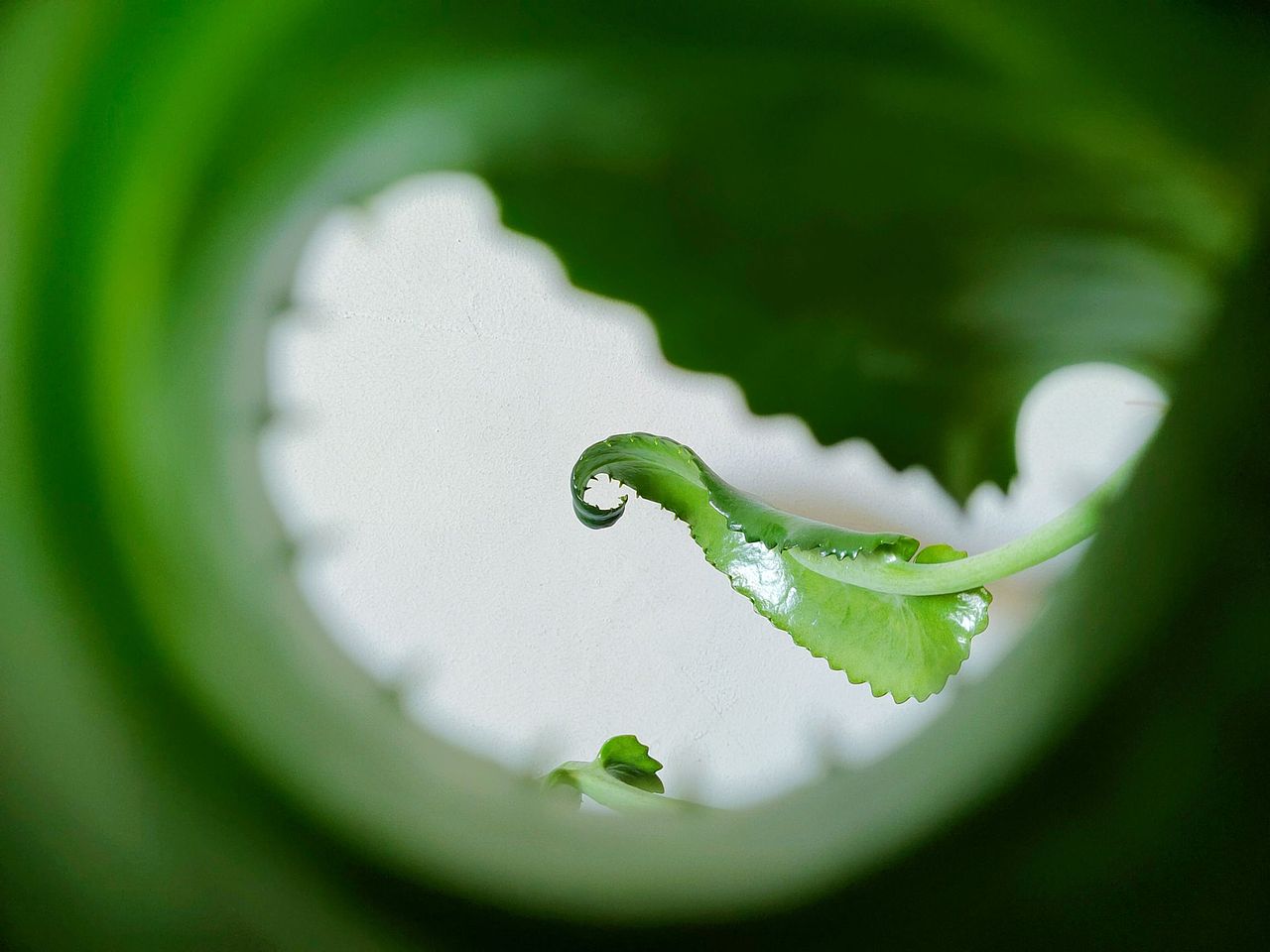 《拒绝内卷》-手机摄影（图ZMzIwNTkxNzY0） - 产品摄影 - 站酷设计师一只小喵喵呢原创素材 - 站酷ZCOOL