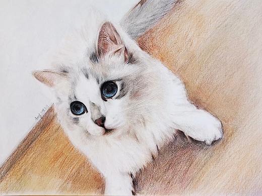 彩铅《猫咪》（个人主页-ZMzgzNTA5NjQ=） - 绘画 - 站酷设计师amy嗳芋原创素材 - 站酷ZCOOL