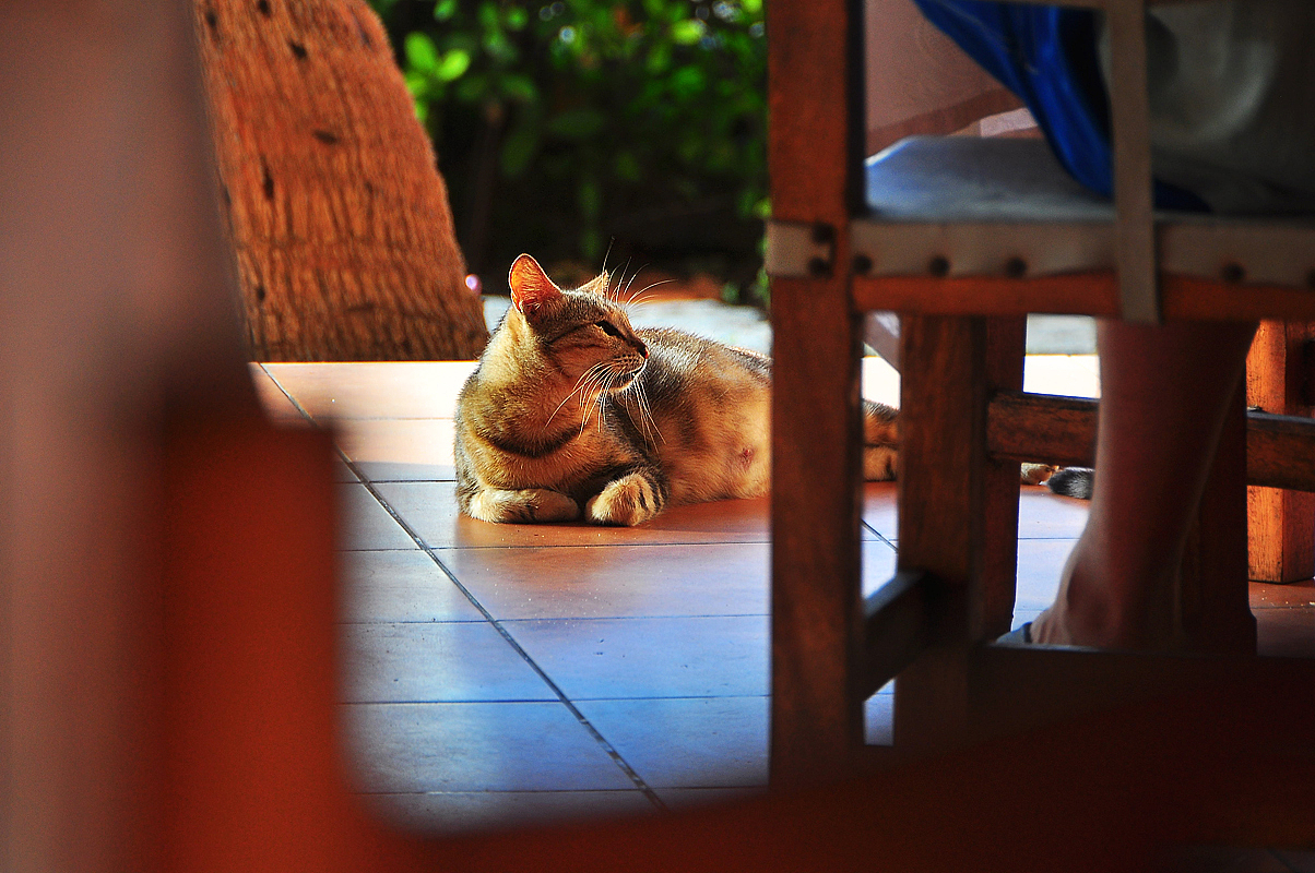 古巴—加勒比海上的热情岛国（图ZNTI0MzE0OA==） - 风光摄影 - 站酷设计师Edwiner原创素材 - 站酷ZCOOL