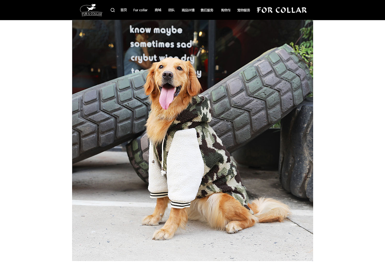 网站宠物类首页、专题页、详情页（图ZMTM1MDk3MTYw） - 电商 - 站酷设计师热爱设计的小硕原创素材 - 站酷ZCOOL