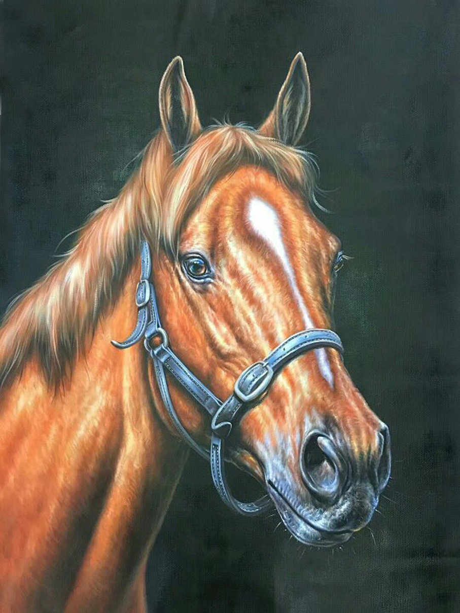 骏马油画
