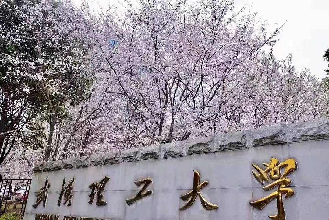 08 武汉理工大学 武汉理工大学是教育部直属全国重点大学,"双一流"