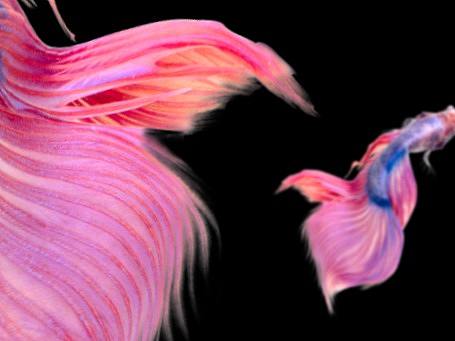 一些东西（个人主页-ZNDMxNDM3NTI=） - 其他平面 - 站酷设计师naneleng原创素材 - 站酷ZCOOL